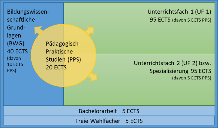 Bachelorstudium